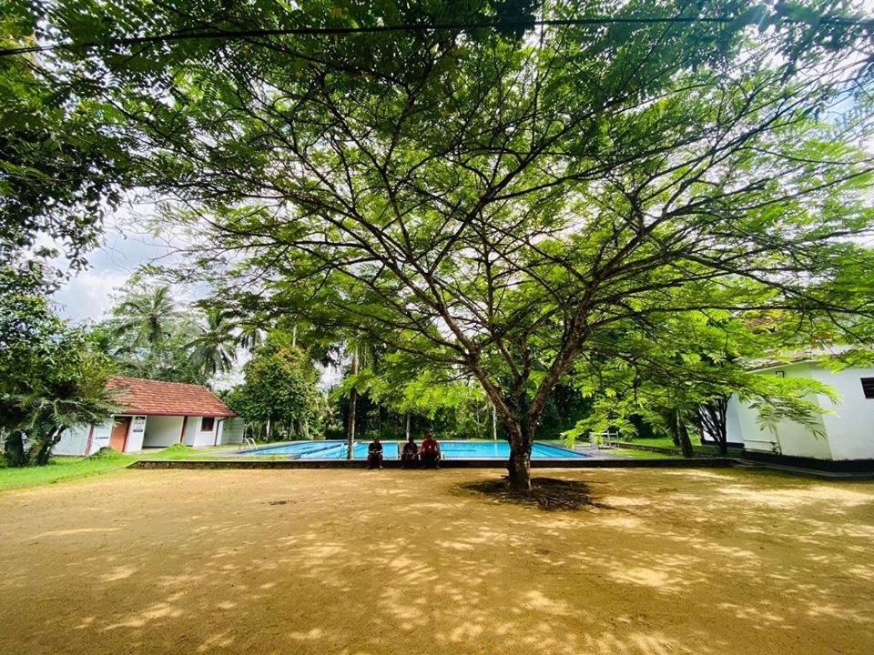Randiyaepiliyagoda Resort เอวิซซาเวลลา ภายนอก รูปภาพ
