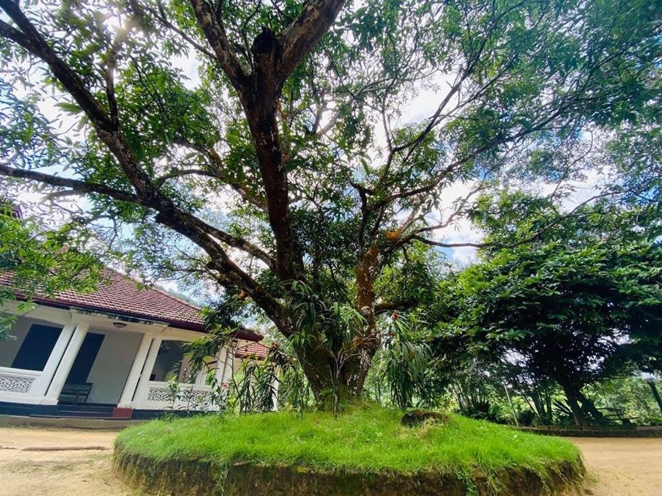 Randiyaepiliyagoda Resort เอวิซซาเวลลา ภายนอก รูปภาพ