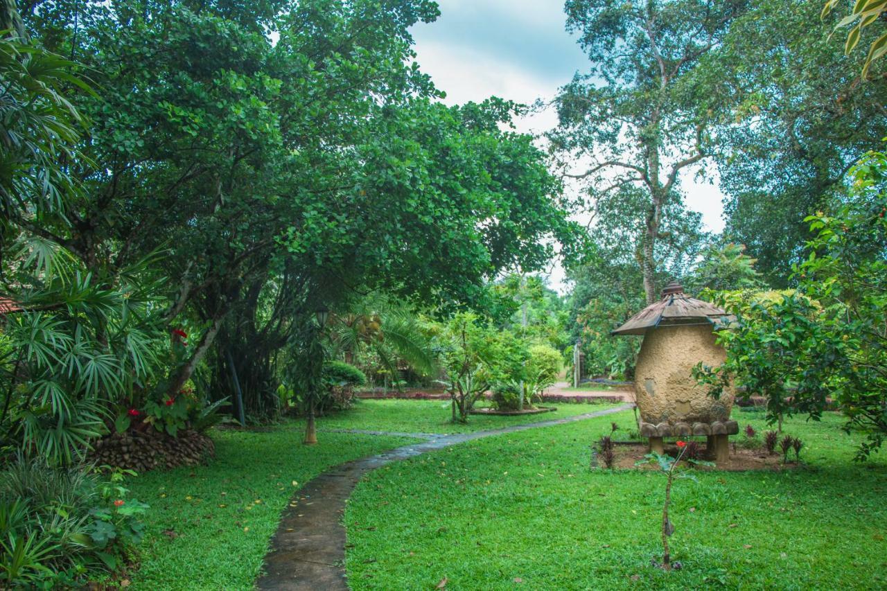 Randiyaepiliyagoda Resort เอวิซซาเวลลา ภายนอก รูปภาพ